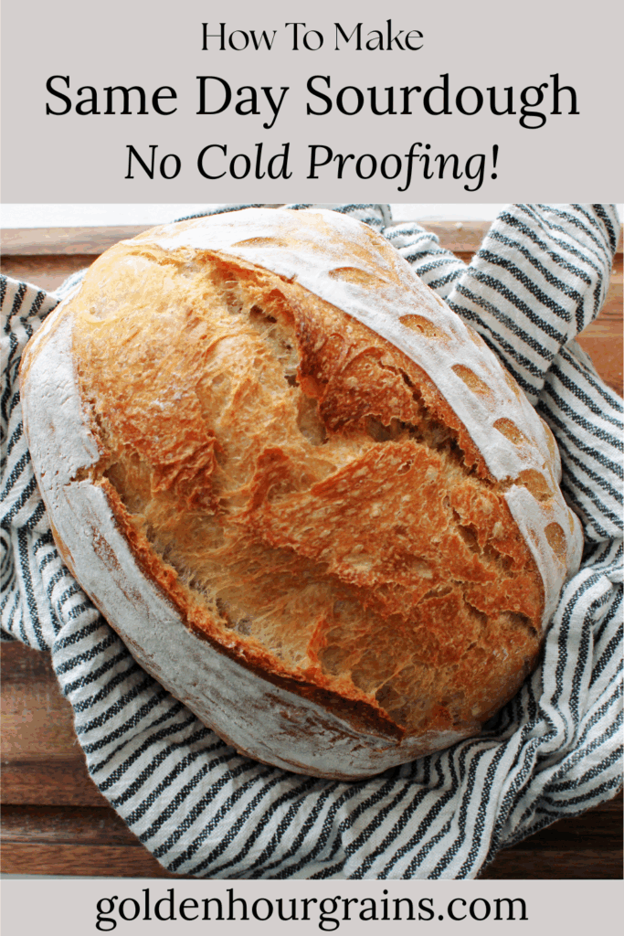 How to Make Sourdough Bread by Dinnertime.