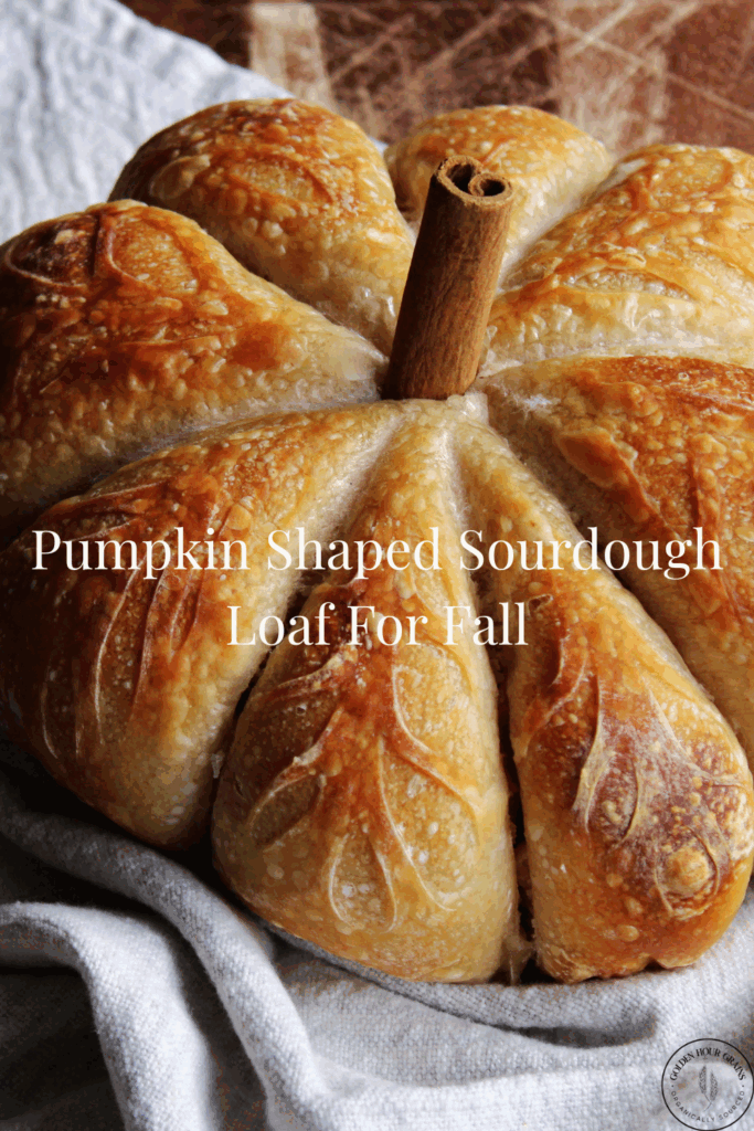 Make a Pumpkin-Shaped Sourdough Loaf for Fall