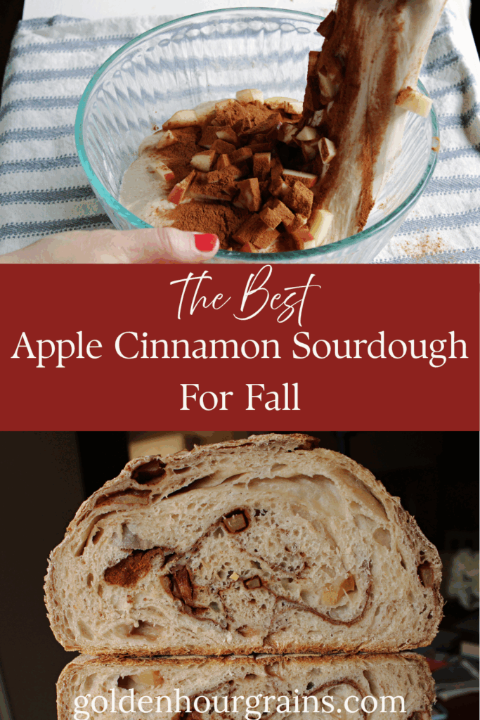 Recipe for Apple Cinnamon Sourdough Bread