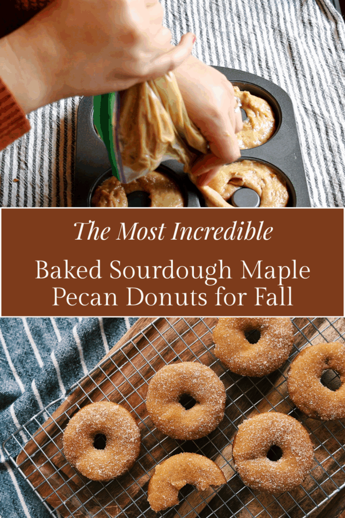 How to make the most incredible baked sourdough maple pecan donuts for fall.