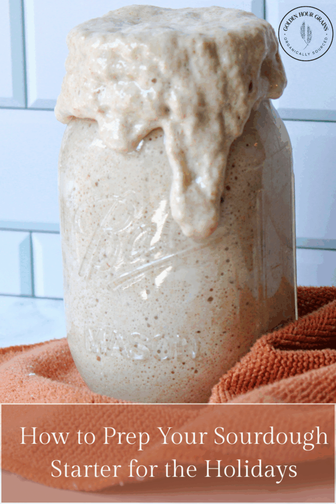 How to Prep Your Sourdough Starter for the Holidays - A Complete Guide