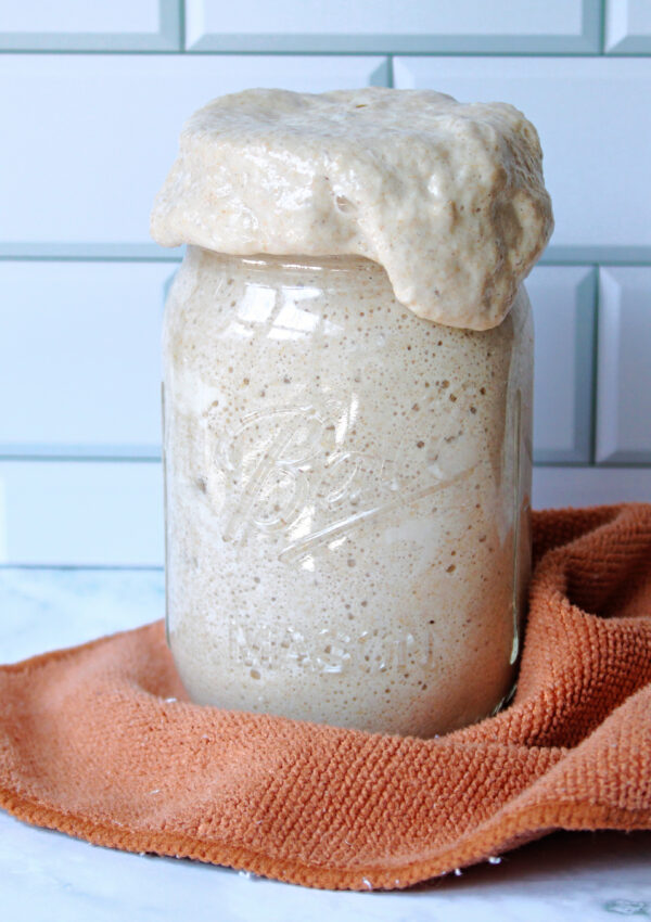 How to Prep Your Sourdough Starter For The Holidays