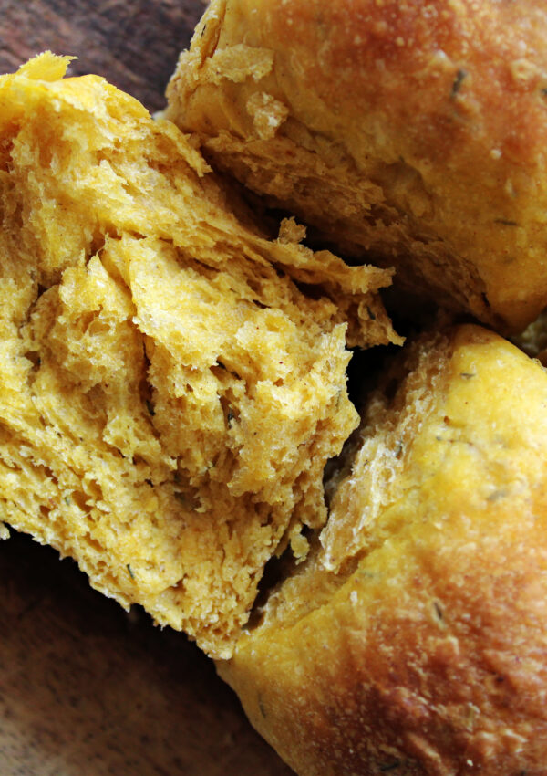 Sourdough Pumpkin Dinner Rolls Made Simple