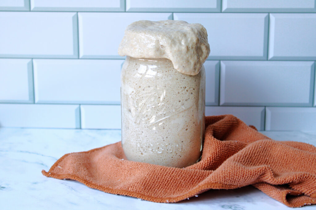 Bubbly sourdough starter sitting on the kitchen counter ready for holiday baking.