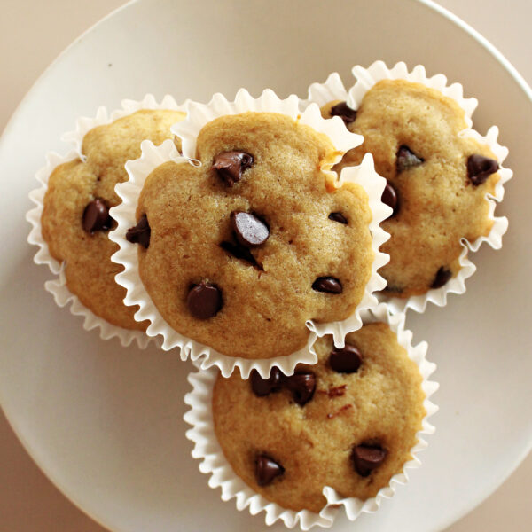 The Best Sourdough Chocolate Chip Muffins