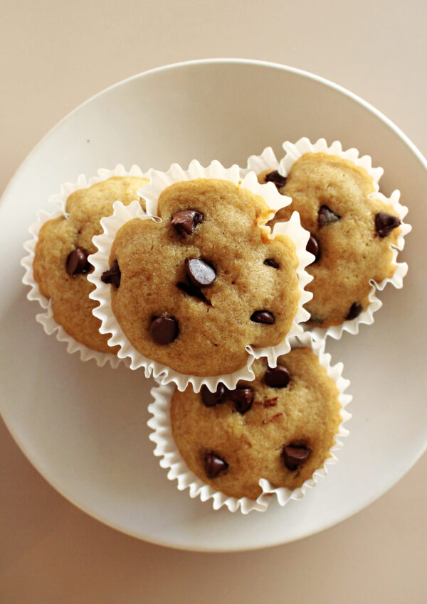 The Best Sourdough Chocolate Chip Muffins