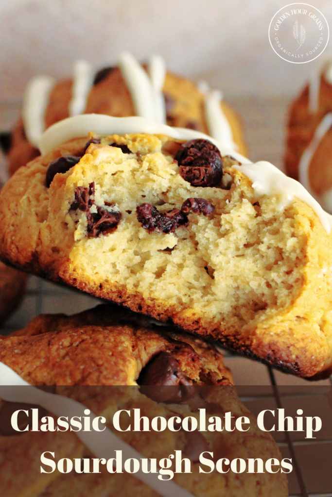 How to make Classic Chocolate Chip Sourdough Scones.