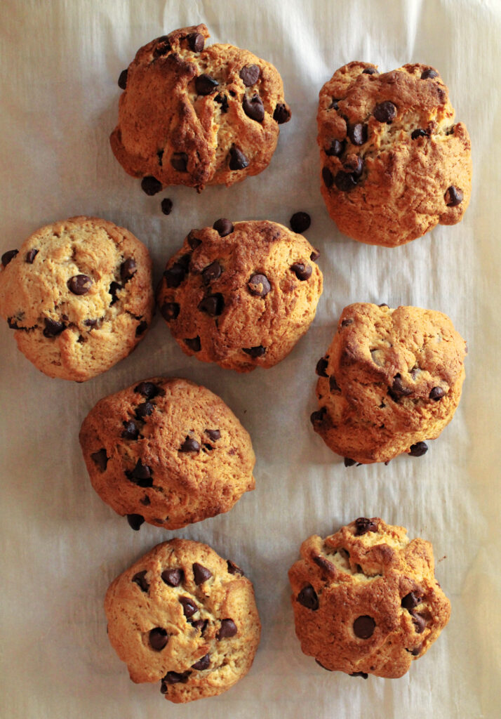 Sourdough chocolate chip scones freshly baked.