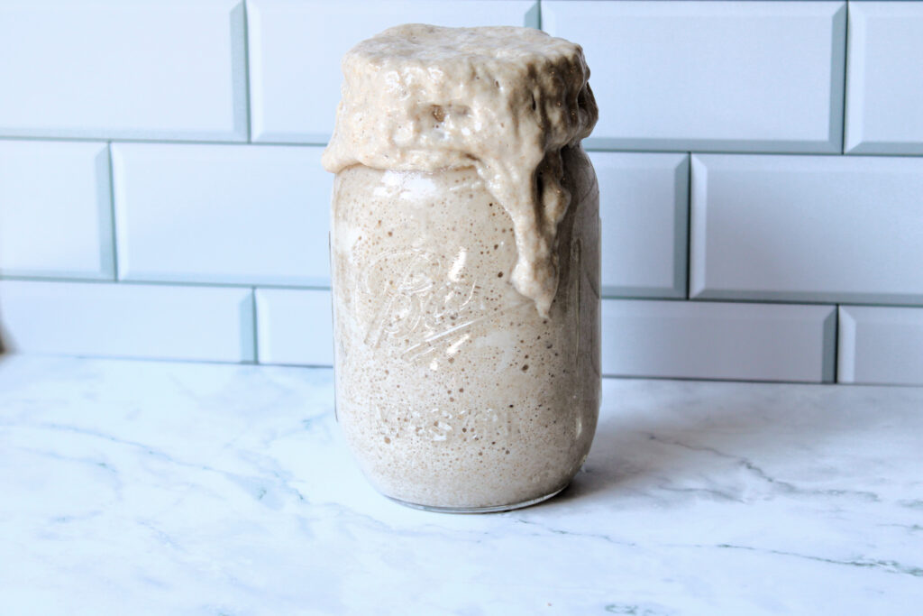bubbling sourdough starter on the counter.