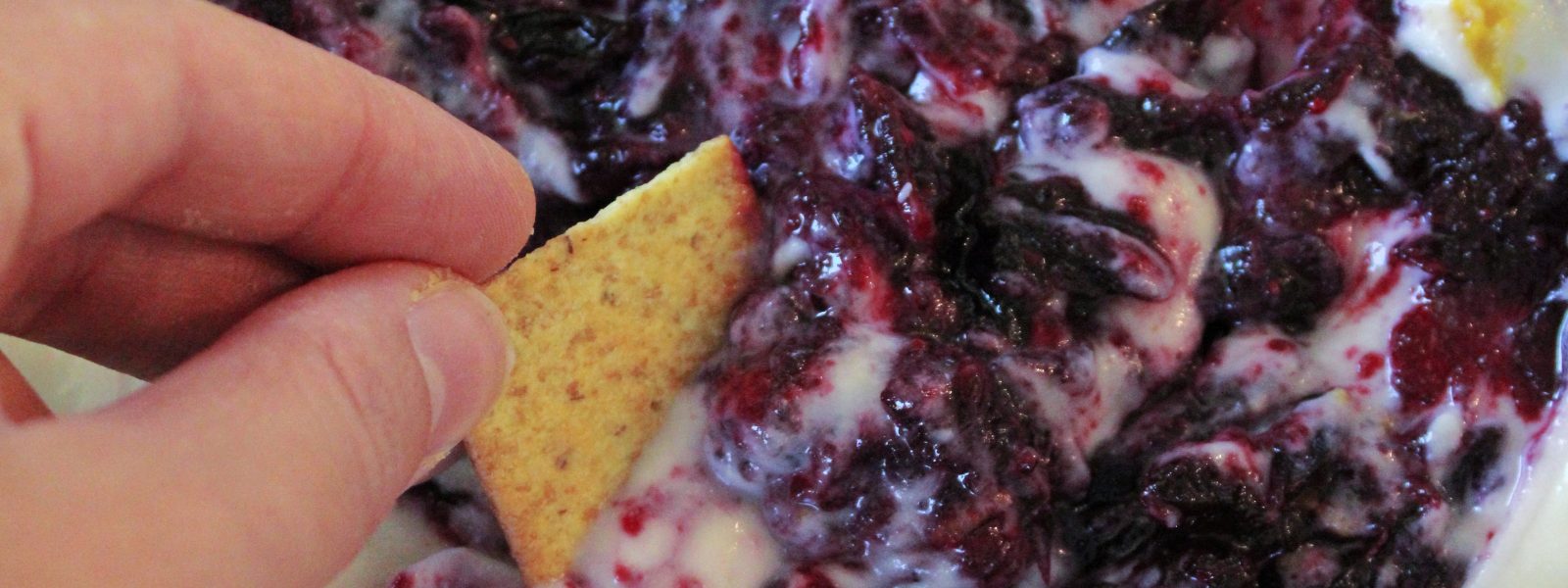 Holiday Cranberry Orange Whipped Ricotta